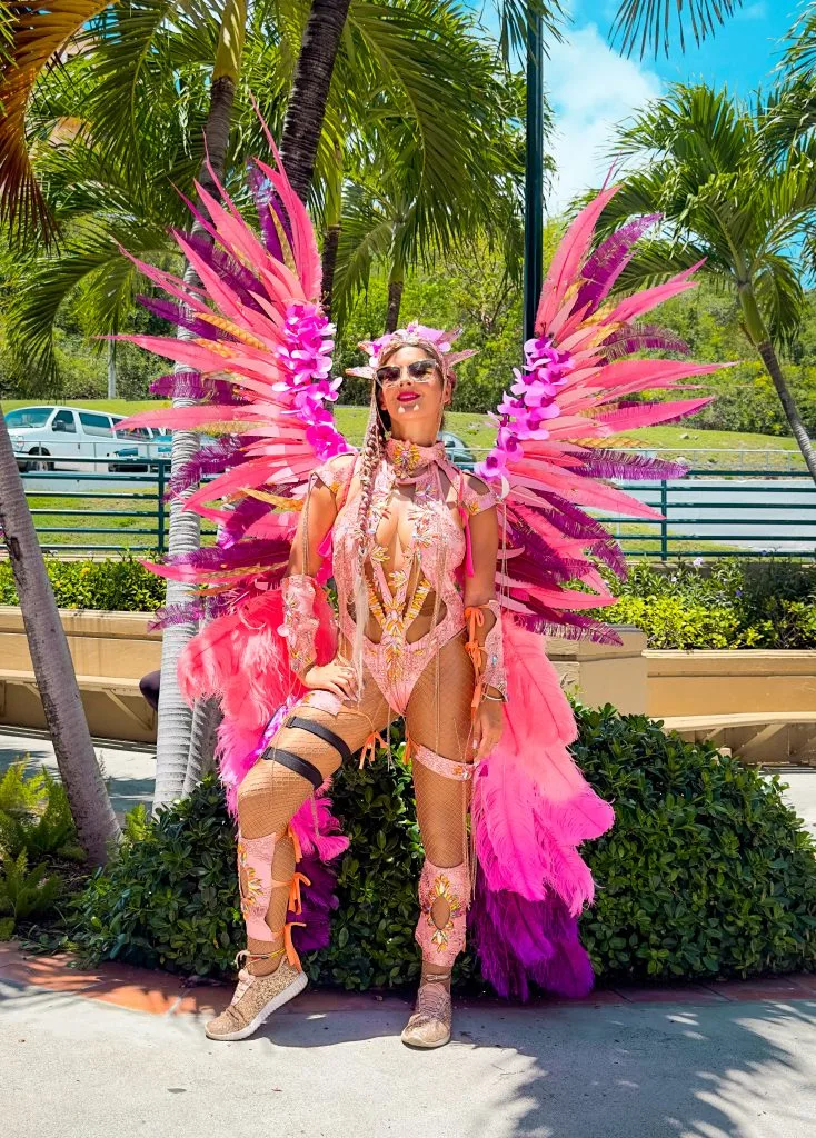 woman in pink carnival feathers and embelishments. 